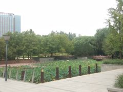 -大望京公园