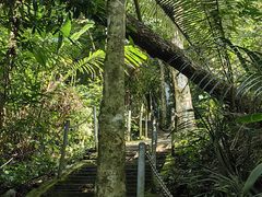 -七仙岭温泉国家森林公园