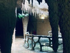 -南山植物园