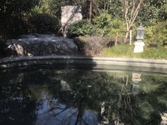 -苏州湾王焰温泉度假酒店