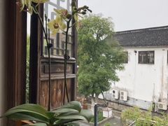 -普洱茶府(博乐广场店)