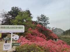 -木兰云雾山