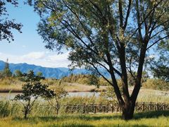 -野鸭湖国家湿地公园