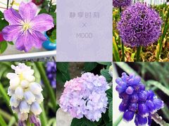 -上海鲜花港