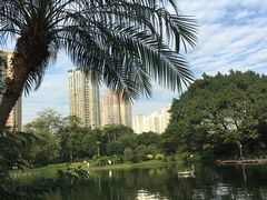 -晓港公园