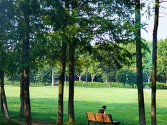 -宜兴龙背山森林公园