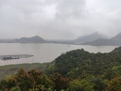 -花岙岛