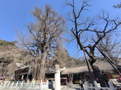 -潭柘寺景区