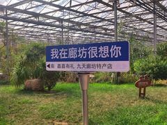 -九天休闲谷