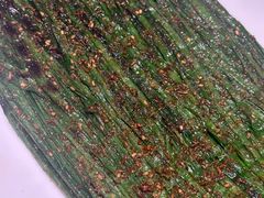 -羊门客在·烤盐池滩羊·川菜