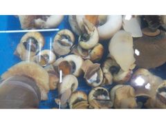 -87号烧烤海鲜·大排档(金沙滩店)