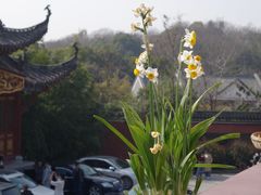 -长春观