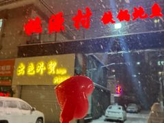 -桃源村铁锅炖鱼(体育馆道店)