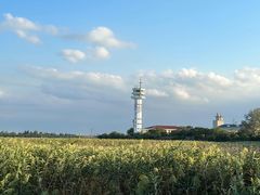 -上海吴淞炮台湾国家湿地公园