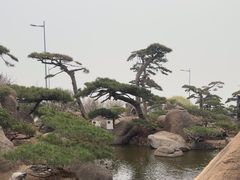 -罗红摄影艺术馆