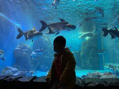 -多彩贵州城极地海洋世界