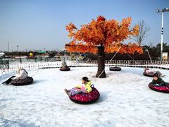 -绿野森林乐园冰雪季