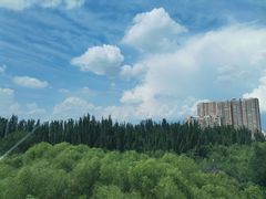 -青城公园