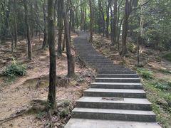 -火炉山森林公园