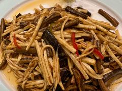 -丁老爷子苏香圆