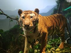 -陕西自然博物馆