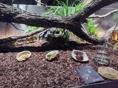 -曲廊院(东四十一条店)