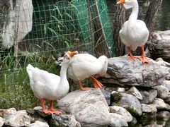 -天毓山庄·餐厅