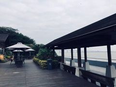 -大湾区中央湿地公园