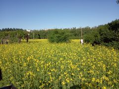 -长春公园(普阳街道)