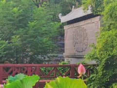 -莲湖公园