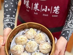 -莱莱小笼·乔艾