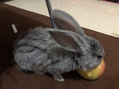 -中家鑫园温泉酒店鑫悦汤泉