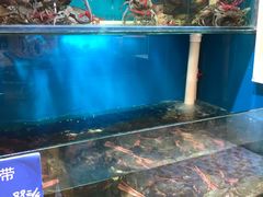 水产区-福泉海码头(六里山店)