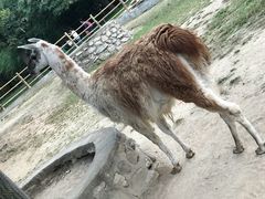 -西安秦岭野生动物园