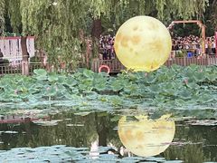 -北陵公园