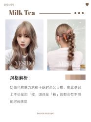 -YESIDO椰岛造型