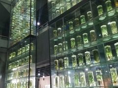 -广东中医药博物馆