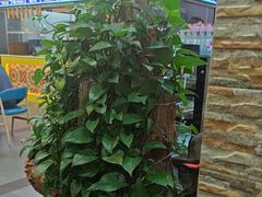 -西域美食(西直门南小街店)