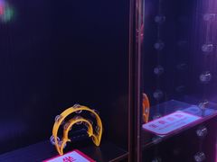 -唱吧麦颂KTV(松江五龙商业广场店)