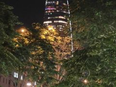 金融塔-西贡河游船