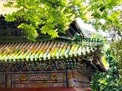 -潭柘寺景区