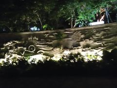 -金鸡山公园