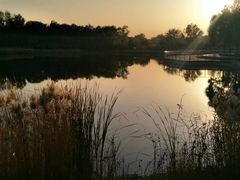 -永定河休闲森林公园