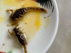 -国英炖品店(甲子路店)