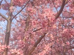 -福建鲤鱼洲酒店