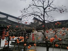 -塔川景区