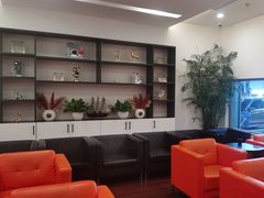 -奔驰利星行(北京花乡店)