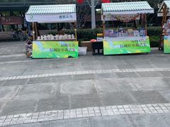 -昆山城市生态森林公园