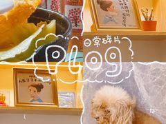 -新富特功夫足疗(华都园大厦店)