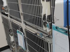 -瑞派紫金宠物医院24小时·骨科·中兽医·重症转诊中心(番禺大石院)